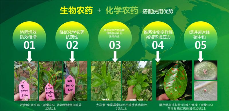 新朝陽在第六屆中國農(nóng)藥行業(yè)市場和銷售高峰論壇做“生物農(nóng)藥+化學(xué)農(nóng)藥，引領(lǐng)植保市場未來”主題報(bào)告
