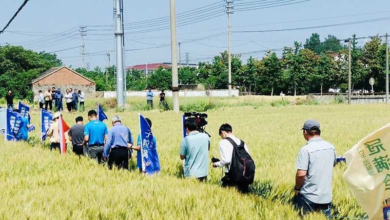520健康植保日——擁抱綠色農(nóng)業(yè)，我們?cè)谛袆?dòng)