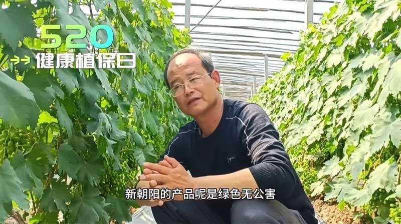 520健康植保日——擁抱綠色農(nóng)業(yè)，我們?cè)谛袆?dòng)