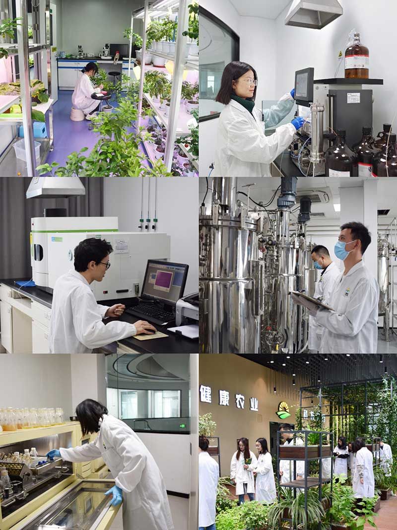 “全國科技工作者日”：推動農(nóng)業(yè)綠色高質(zhì)量發(fā)展，新朝陽科研人在路上