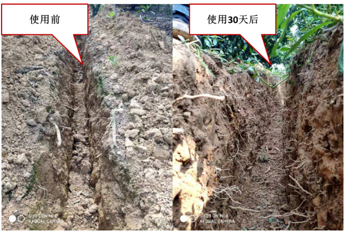 “土壤板結(jié)克星”：土壤調(diào)理劑你了解多少？
